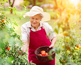 Do you have a garden? Do you need help moving heavy bags of mulch or fertalizer or other gardening items from a garage or shed to you garden. We can help peform the heavy lifting.